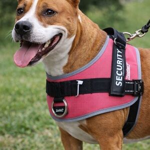 Craft Pink and Black Dog Harness